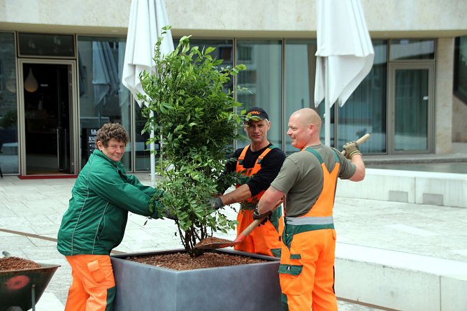 Platz soll gr&uuml;n werden (Foto: P. Grabe/Stadt Nordhausen)