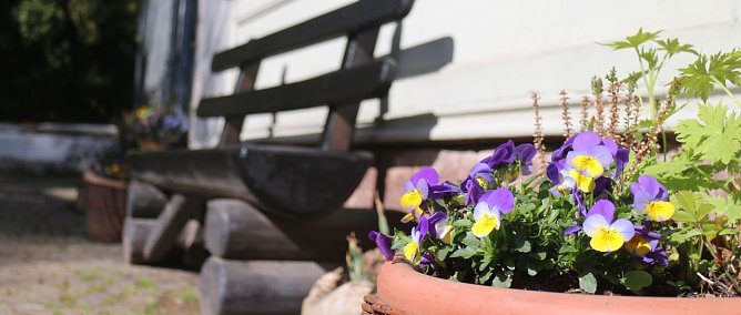 Eine Bank zum Ausruhen? (Foto: Angelo Glashagel)
