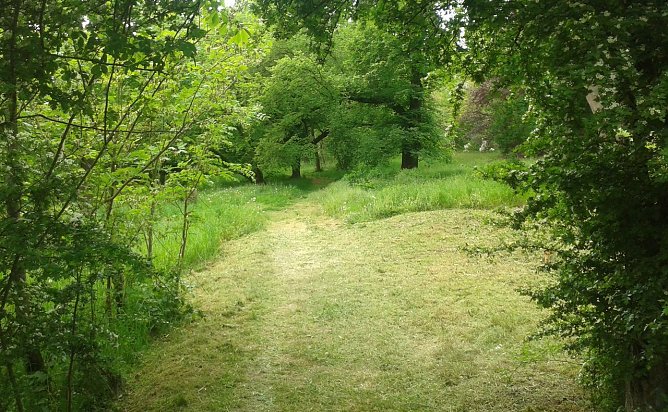 Blick in den Park (Foto: B. Schwarzberg)