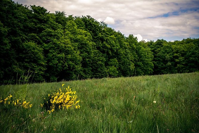 Wetter-Bild (Foto: Gernot Thelemann)