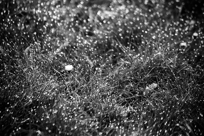 Wetter-Bild (Foto: Gernot Thelemann)