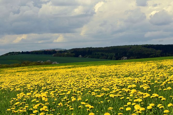 Wetter-Bild (Foto: Gernot Thelemann)