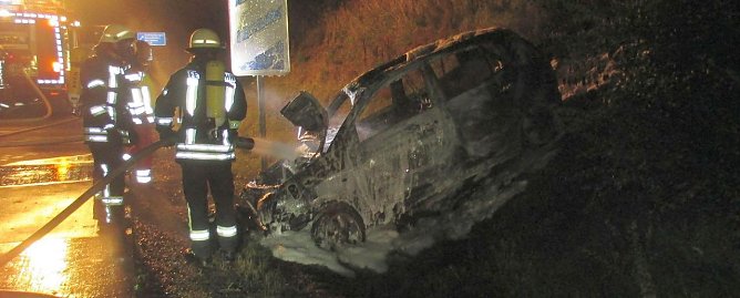 Feuerwehr beim L&ouml;schen (Foto: API)