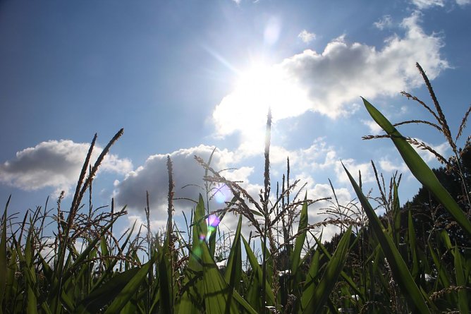 Wetterbild (Foto: Angelo Glashagel) Wetterbild (Foto: Angelo Glashagel)