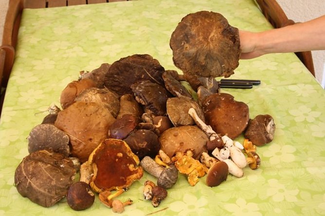 Gefunden (Foto: K. Apel)