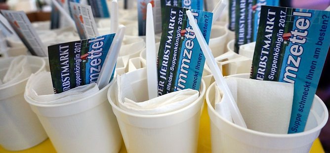 Stimmzettel (Foto: S. Witzel)