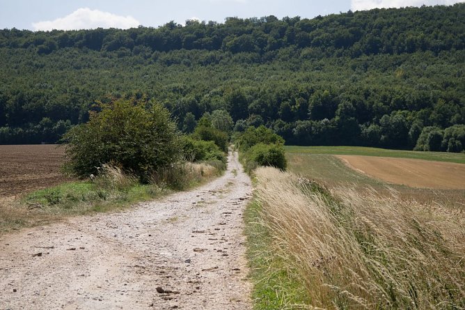 Wetterbild (Foto: Gernot Thelemann)