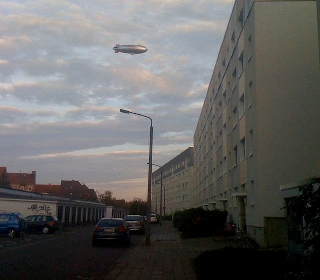 Entdeckt (Foto: N. Jahn)