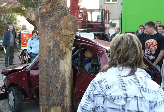 Begutachtet (Foto: nnz)