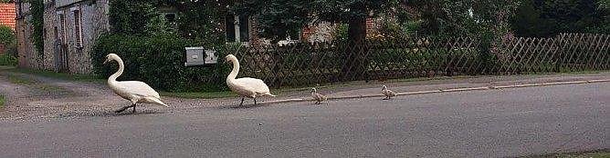 Der lange Marsch (Foto: privat)