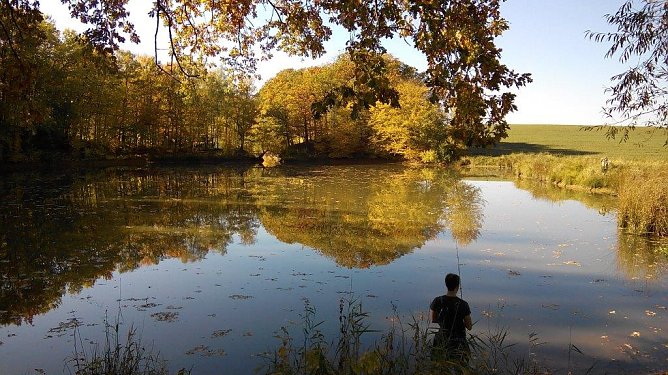 Der Herbst steht auf der Leiter und malt die Bl&auml;tter bunt � ein alt bekanntes Kinderlied wird in diesen Tagen wieder besonders aktuell. Zum Beispiel am Wiesenteich bei Steinsee. (Foto: Kurt Frank)