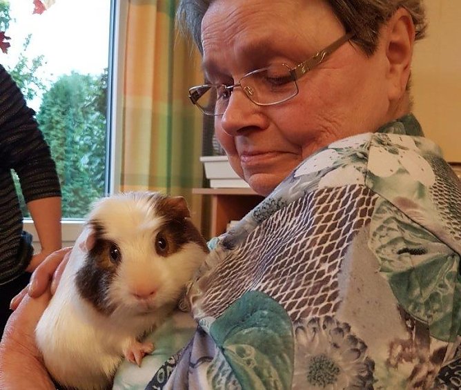 Tierische Freunde (Foto: L. Schubert)