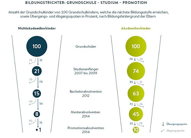 Grafik (Foto: Hochschul-Bildungs-Report)