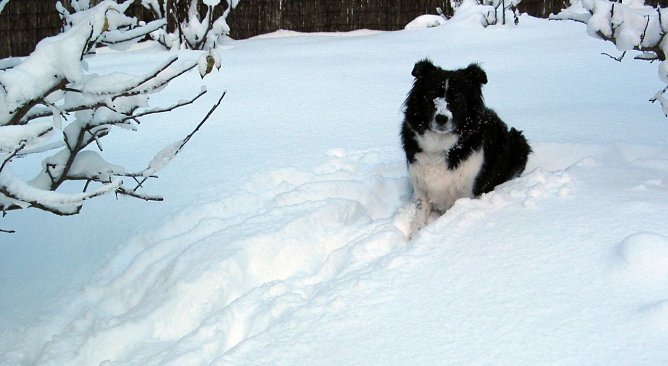 Spa&szlig; im Schnee (Foto: W. J&ouml;rgens)