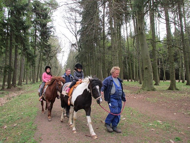 Projekt Tizian blickte auf 2017 zurück (Foto: Horizont e.V.) Projekt Tizian blickte auf 2017 zurück (Foto: Horizont e.V.)