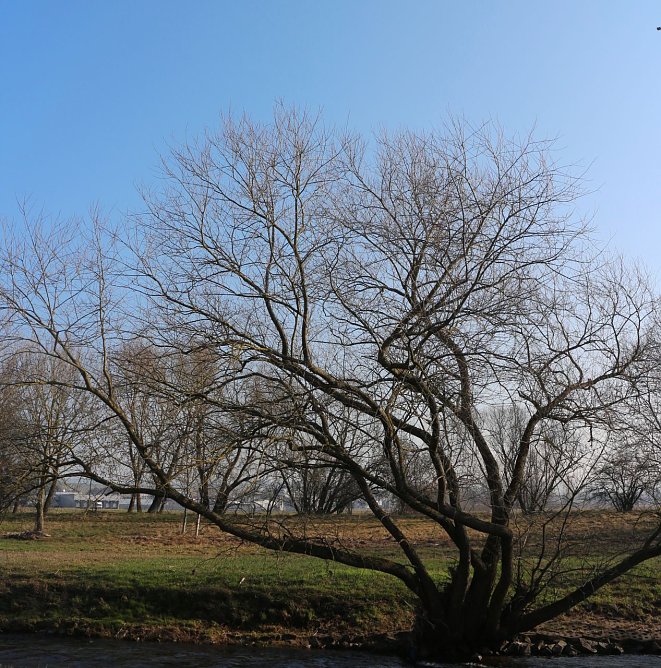 Wetterbild (Foto: Angelo Glashagel)