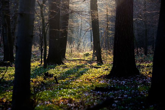 Wetterbild (Foto: Gernot Thelemann)