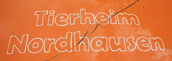 Tierheim hofft auf Unterstützung (Foto: Angelo Glashagel) Tierheim hofft auf Unterstützung (Foto: Angelo Glashagel)