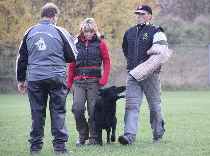 Gebellt und gepr&uuml;ft (Foto: H. K&uuml;hn)