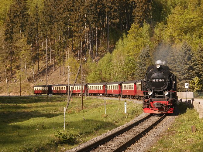99 7239-9 bei der Einfahrt mit dem Nordh&auml;user Brockendampfzug 8929 in Netzkater am 29.04.2018.   (Foto: Bernd Thielbeer)
