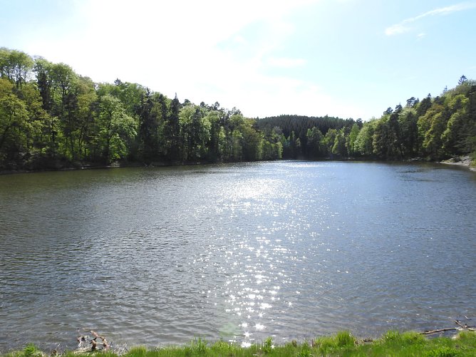 Kunstteich Ballenstedt (Foto: Peter Blei) Kunstteich Ballenstedt (Foto: Peter Blei)