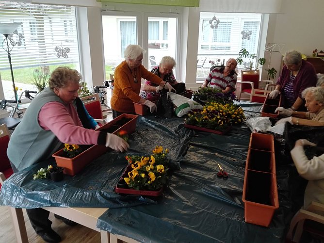 Blumen pflanzen im Ilfelder Sonnenhof (Foto: Danny Kais) Blumen pflanzen im Ilfelder Sonnenhof (Foto: Danny Kais)