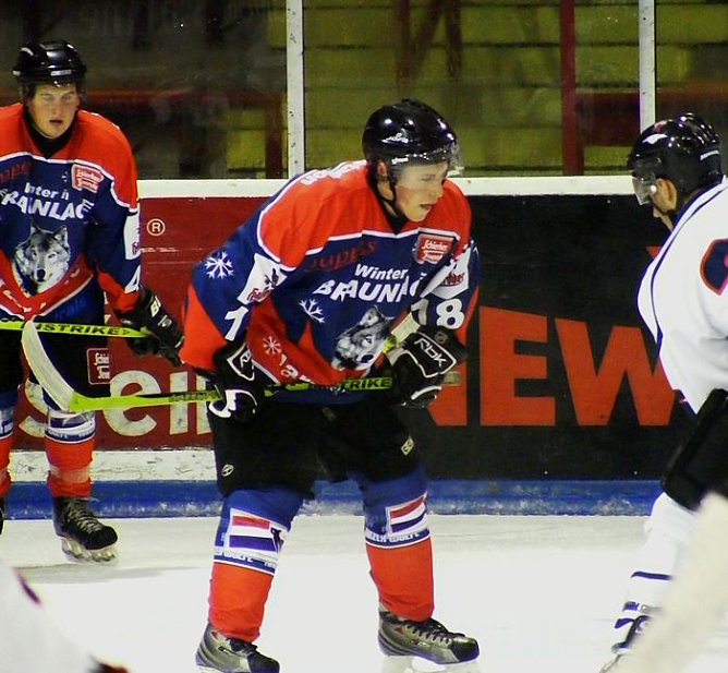 Stiere? (Foto: R. Koch)