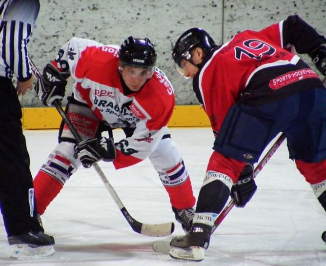 wölfe (Foto: wölfe) wölfe (Foto: wölfe)