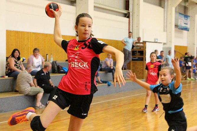 Bei den Th&uuml;ringer Jugendspielen im Handball der D-M&auml;dchen holten die Nordh&auml;userinnen &uuml;berraschend Silber (Foto: Uwe Tittel)
