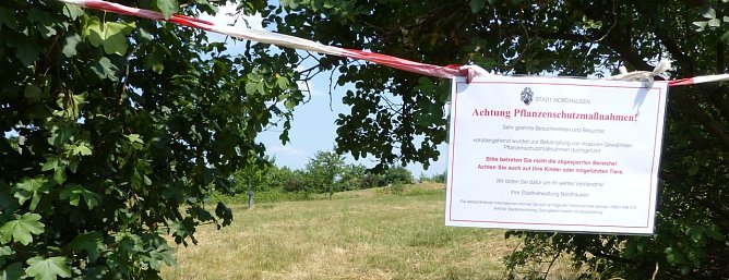 Abgesperrt (Foto: nnz)