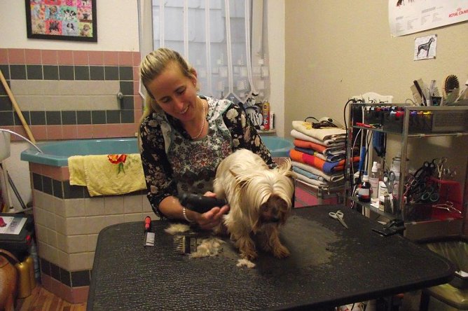 Ariane M&uuml;ller ist Chefin im Hundesalon Pf&ouml;tchen � Paradies. Seit sechs Jahren &uuml;bt sie gekonnt ihr Handwerk aus. (Foto: privat)