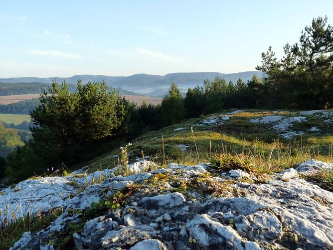 Verfahren beginnt (Foto: pln) Verfahren beginnt (Foto: pln)
