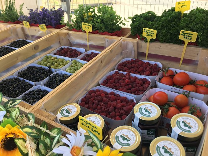 Frische Bioware aus dem Gartenbau Salza (Foto: Horizont e.V.)