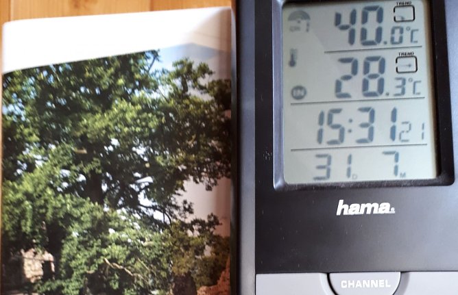 Auch in Neustadt wurde die 40-Grad-Marke erreicht (Foto: P. Sieckel)