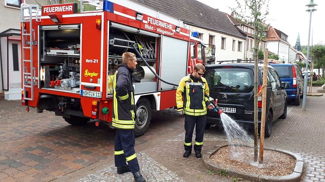 Der besondere Einsatz (Foto: privat)