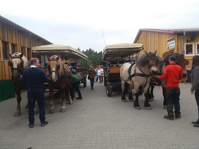 Auch zu Pferde war man unterwegs (Foto: Otfried Pabst)