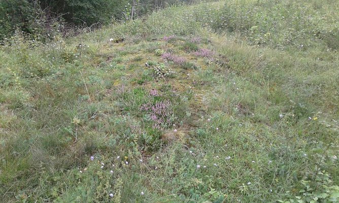 M&auml;hen gegen den Gipsabbau� (Foto: B. Schwarzberg)