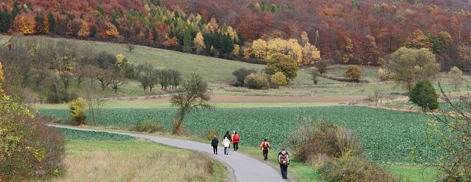 S&uuml;dharz-Hunderter im vergangenen Jahr (Foto: B. Schwarzberg)