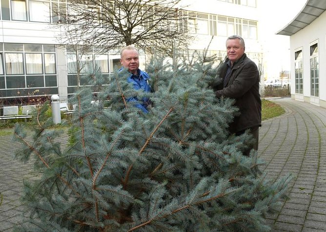 Gute Geister (Foto: SHK) Gute Geister (Foto: SHK)