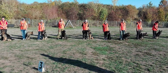 Th&uuml;ringer Landesf&auml;hrtenmeisterschaft (Foto: privat)