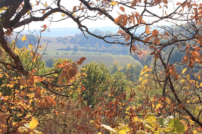 Herbstblick (Foto: Anja Apel)