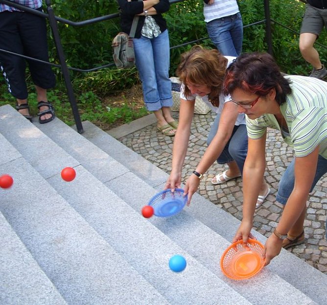 Treppenk&auml;fer (Foto: JSW)