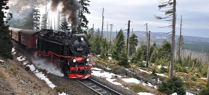 Der Harzer Winter wird nass (Foto: Schwalbenschwanz)