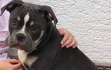 Wo ist Memphis? (Foto: Landespolizeiinspektion Nordhausen)