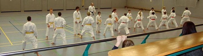 Erfolgreiches Jahr (Foto: privat) Erfolgreiches Jahr (Foto: privat)