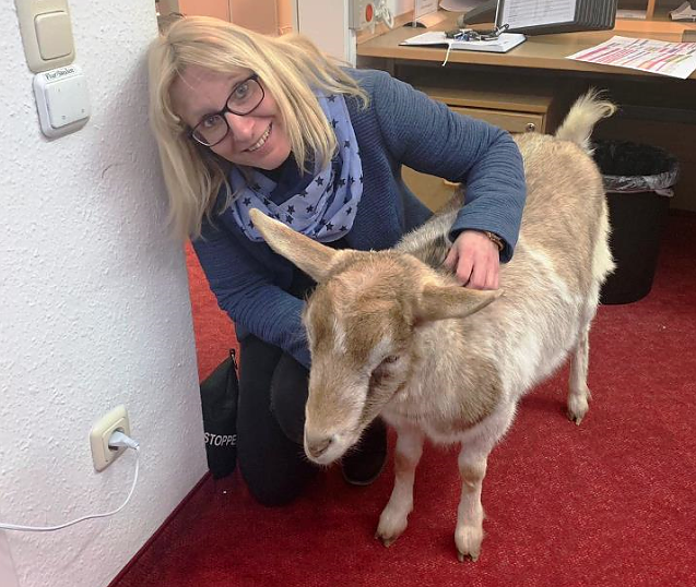 Tierischer Besuch im Sonnenhof (Foto: Danny Kais) Tierischer Besuch im Sonnenhof (Foto: Danny Kais)