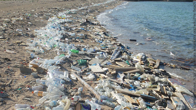 Plastik im Meer (Foto: Pressestelle Stadt Nordhausen) Plastik im Meer (Foto: Pressestelle Stadt Nordhausen)