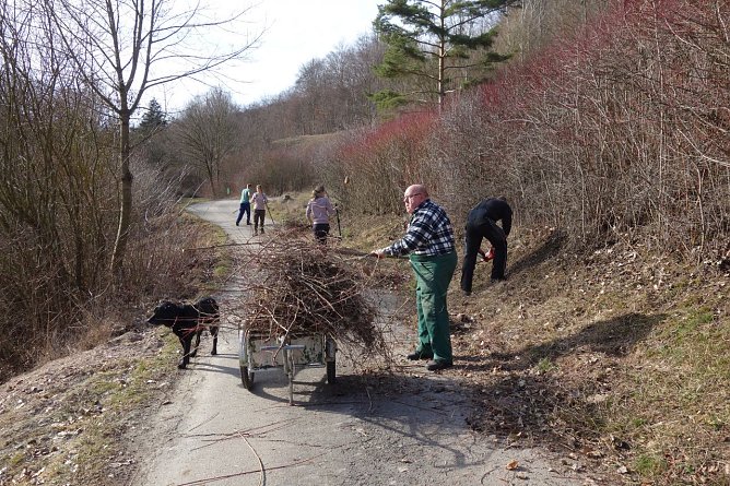 Vorbereitungen auf die Kr&ouml;tenwanderung bei Hainrode (Foto: LPV)