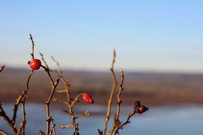 Wetterbild (Foto: Angelo Glashagel)