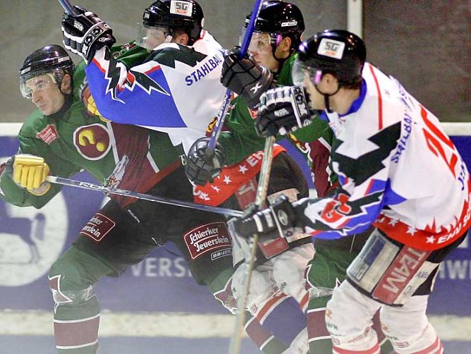 Rudelbildung (Foto: rk) Rudelbildung (Foto: rk)